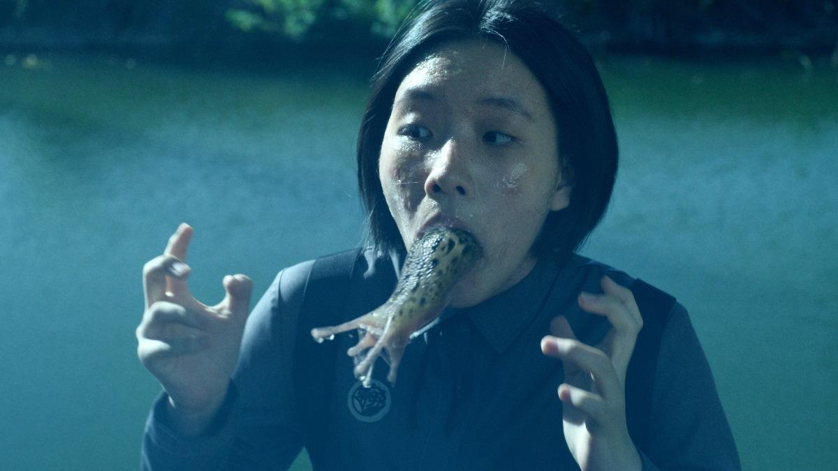 海星动